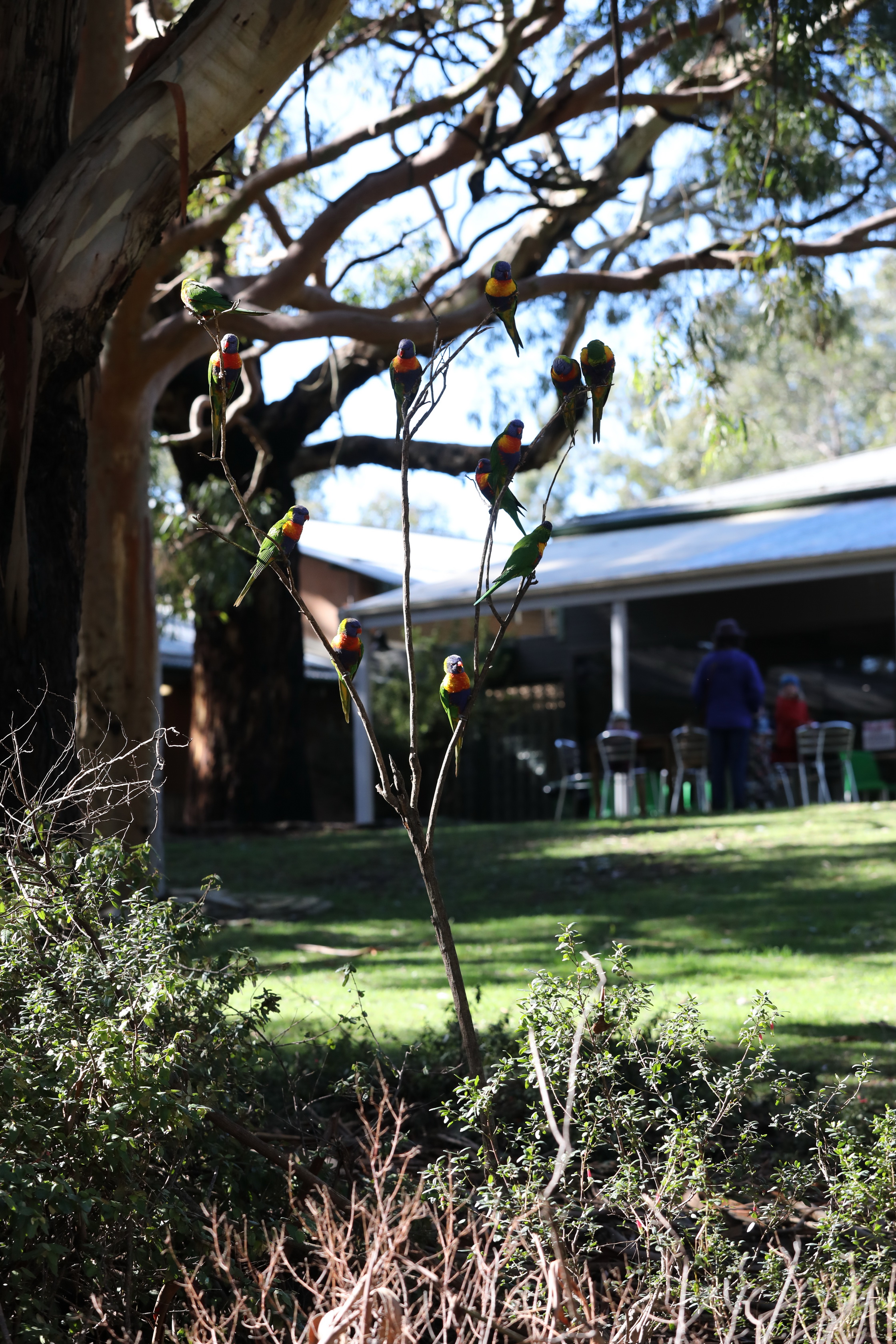 2019 07 19 12 54 48 Canon EOS 5D Mark IV 0002